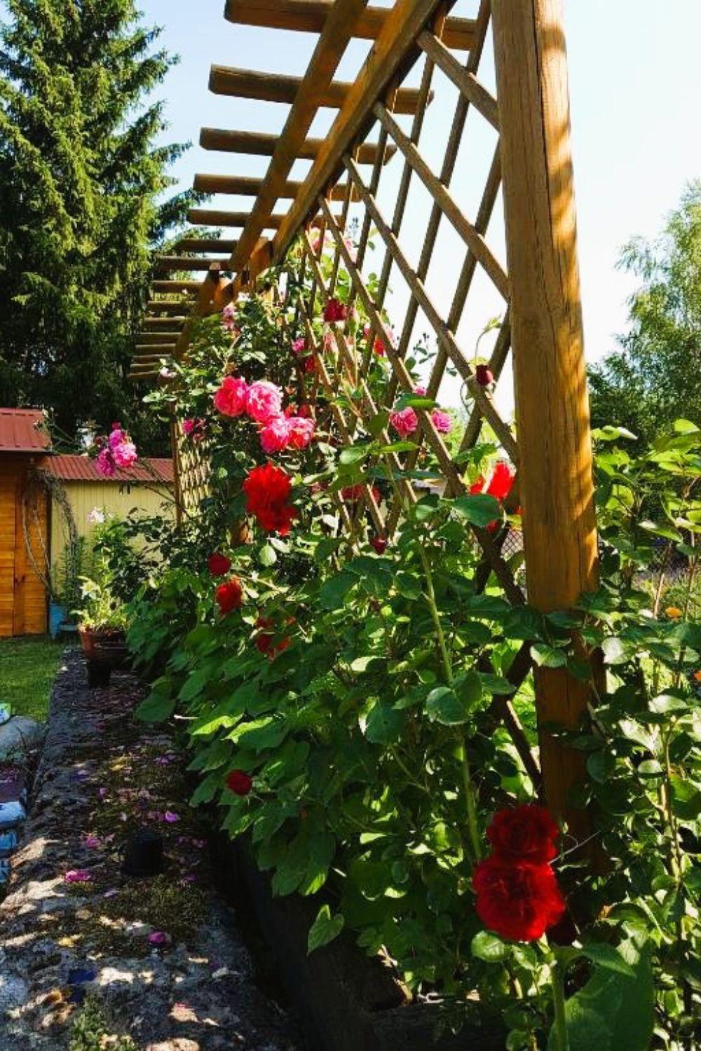 Villa Olszyna Pod Brzoza Extérieur photo