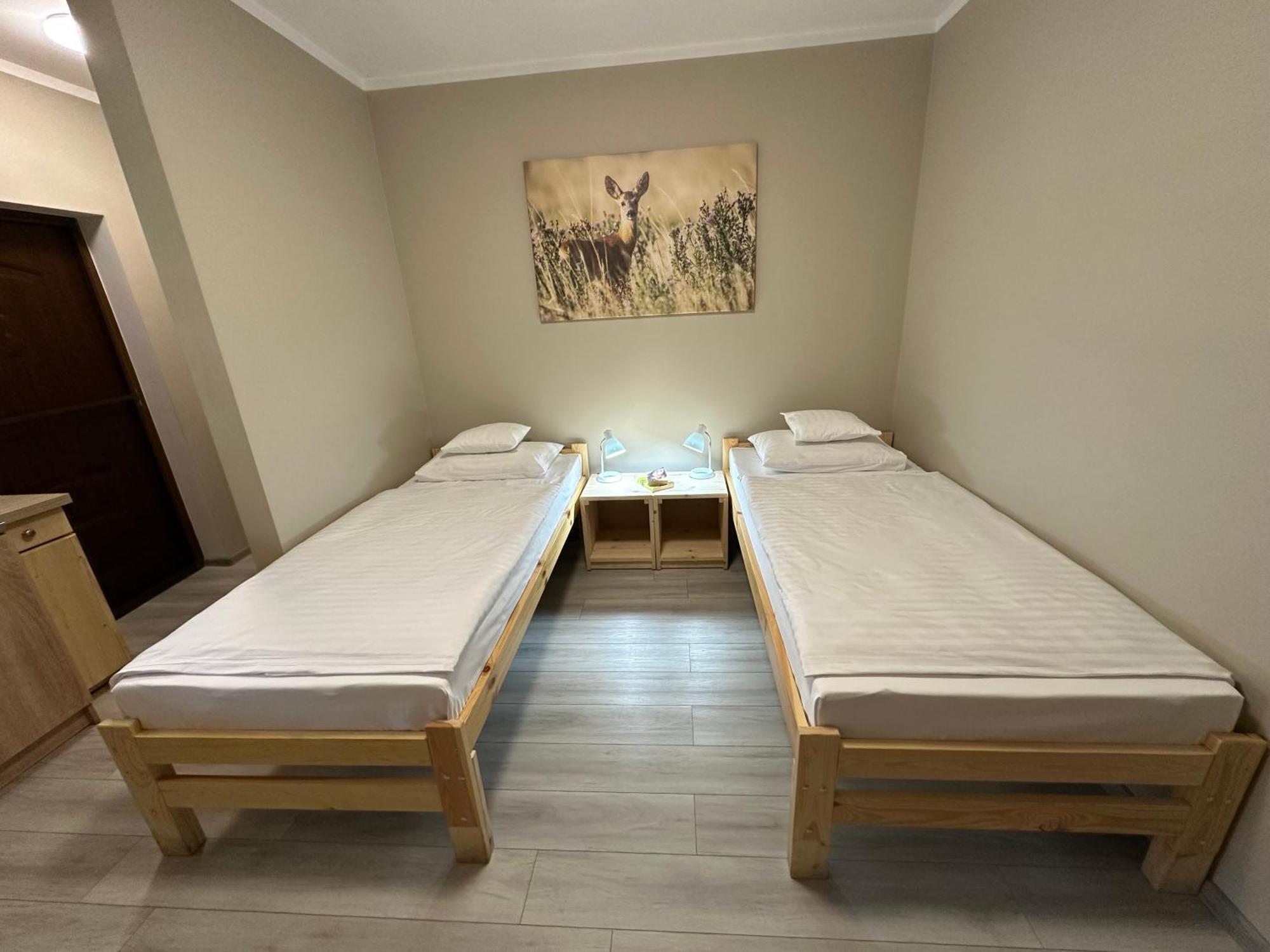 Villa Olszyna Pod Brzoza Extérieur photo